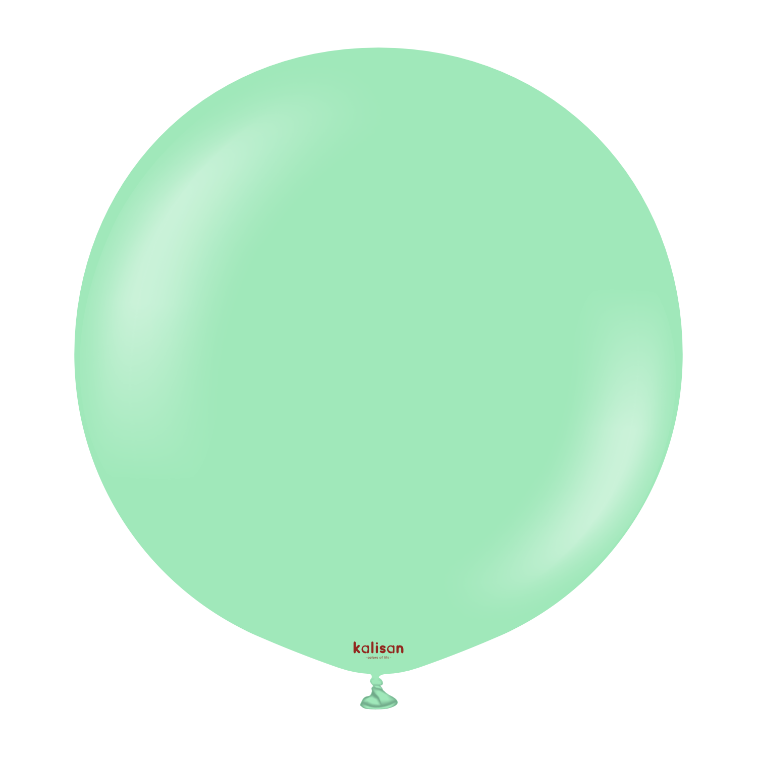 2336-standard-mint-green-24-36-inch-w-logo.png 24'' Standart Balon Mint Yeşili (Mint Green) 2'li - Görsel 1