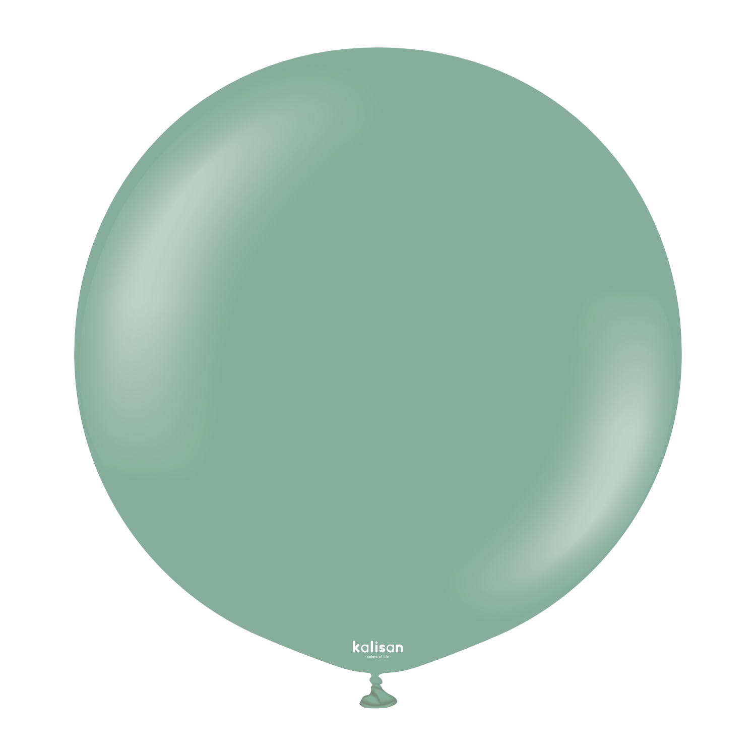 8006-retro-sage-24-36-inch-w-logo.png 24'' Retro Balon Adaçayı (Sage) 2'li - Görsel 1