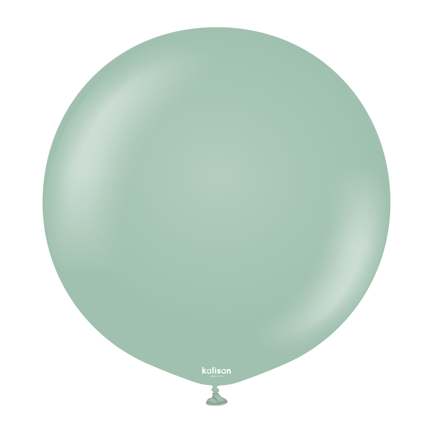 8007-retro-winter-green-24-inch-w-logo.png 24'' Retro Balon Kış Yeşili (Winter Green) 2'li - Görsel 1