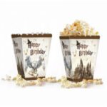 Mısır Kutusu Harry Potter Temalı / 8 Parça