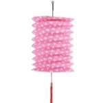 Gemici Feneri Fuşya 25 Cm
