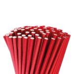 Kağıt Pipet Parlak Kırmızı 24 Parça